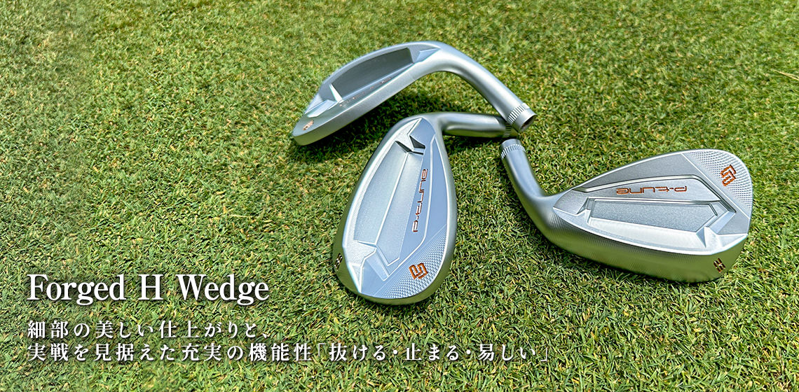 Forged H Wedge